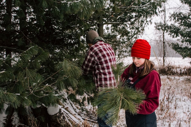 Czy można wyciąć świerk bez zezwolenia?