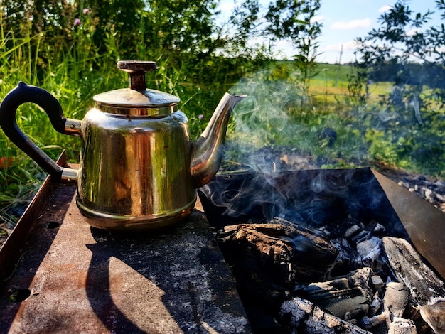 Herbata Szepty Starożytnego Lasu – czym zaskakuje swoich miłośników?