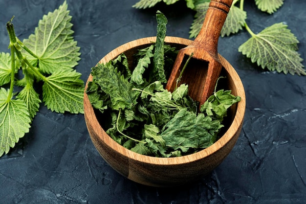 Jakie właściwości ma pokrzywa 50g?