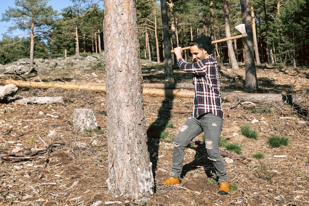 Kiedy można wycinać drzewa w lesie zgodnie z przepisami?