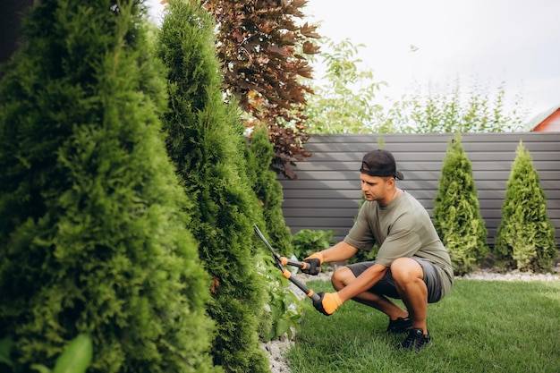 Czy można wyciąć tuje na działce bez pozwolenia?