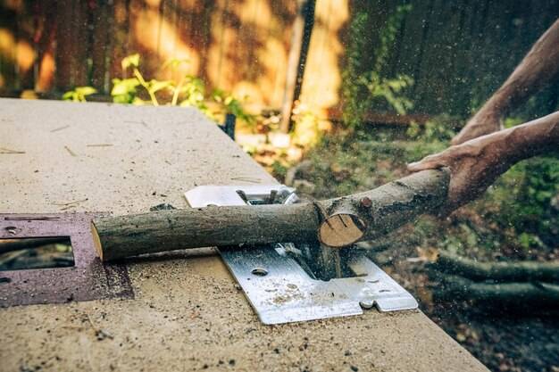 Do kiedy wycinka drzew na działce jest dozwolona?
