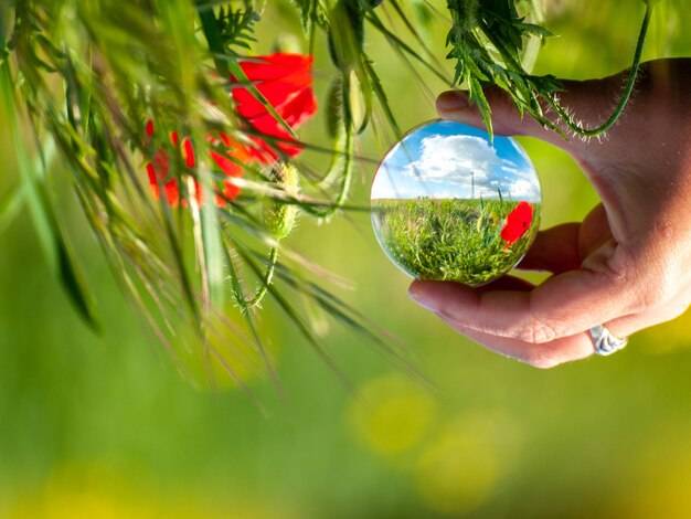 Jakie są sposoby ochrony przyrody w codziennym życiu?