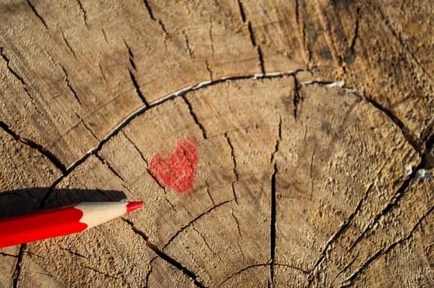 Pozwolenie na wycinkę drzew ile ważne i kiedy traci moc?