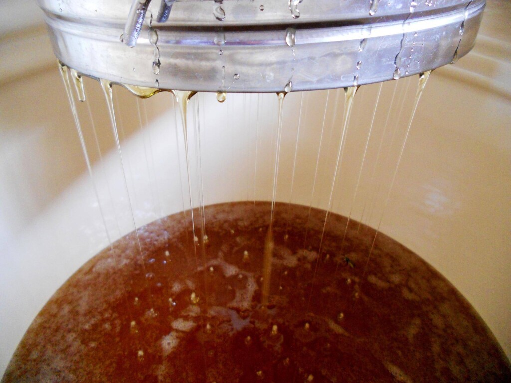W jakiej temperaturze fermentuje wino i dlaczego ma to znaczenie?
