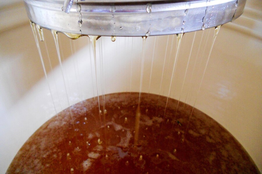 W jakiej temperaturze fermentuje wino i dlaczego ma to znaczenie?