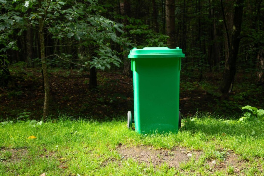 Co wrzucamy do zielonego kosza podczas codziennego sprzątania?